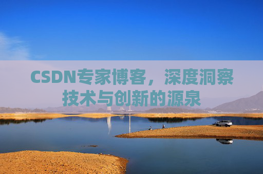 CSDN专家博客，深度洞察技术与创新的源泉
